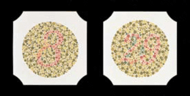 Colour vision tests by Ishihara, 14 plates, Item No.: 017021